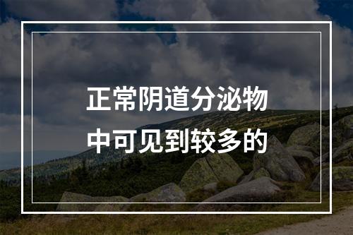 正常阴道分泌物中可见到较多的