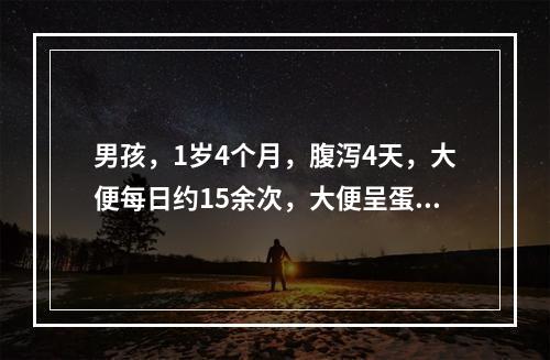 男孩，1岁4个月，腹泻4天，大便每日约15余次，大便呈蛋花汤