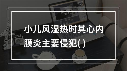 小儿风湿热时其心内膜炎主要侵犯( )