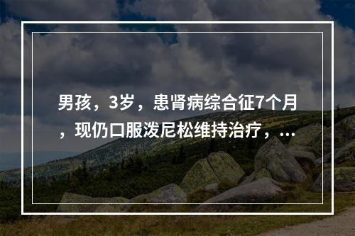 男孩，3岁，患肾病综合征7个月，现仍口服泼尼松维持治疗，2周