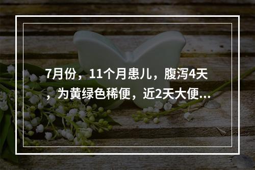 7月份，11个月患儿，腹泻4天，为黄绿色稀便，近2天大便呈深