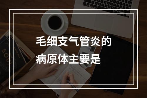 毛细支气管炎的病原体主要是