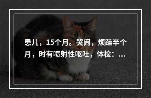 患儿，15个月。哭闹，烦躁半个月，时有喷射性呕吐，体检：体温