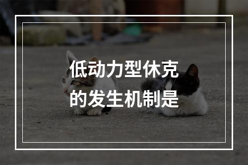 低动力型休克的发生机制是