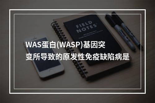 WAS蛋白(WASP)基因突变所导致的原发性免疫缺陷病是