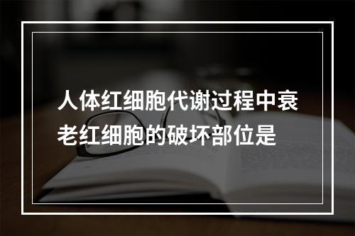 人体红细胞代谢过程中衰老红细胞的破坏部位是