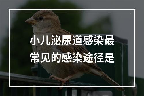 小儿泌尿道感染最常见的感染途径是