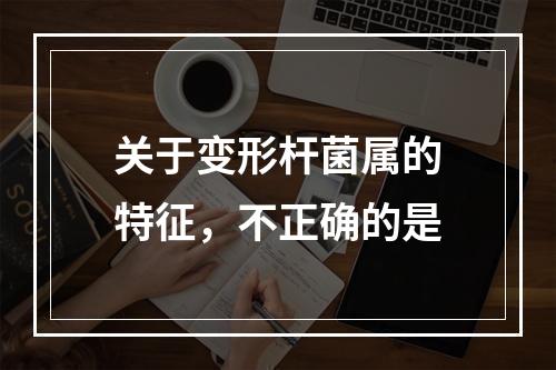 关于变形杆菌属的特征，不正确的是