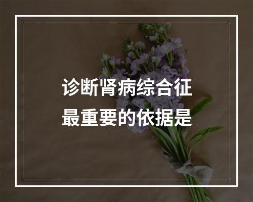 诊断肾病综合征最重要的依据是