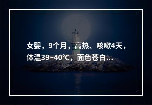 女婴，9个月，高热、咳嗽4天，体温39~40℃，面色苍白、发