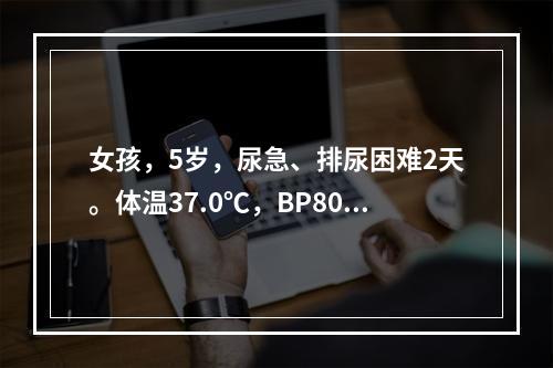 女孩，5岁，尿急、排尿困难2天。体温37.0℃，BP80/5