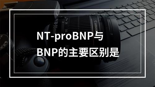 NT-proBNP与BNP的主要区别是