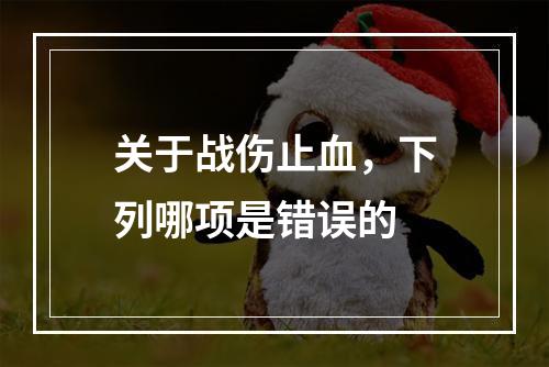 关于战伤止血，下列哪项是错误的