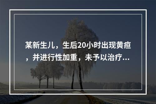 某新生儿，生后20小时出现黄疸，并进行性加重，未予以治疗。现