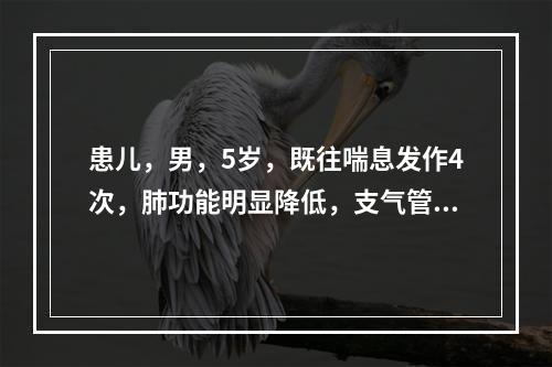 患儿，男，5岁，既往喘息发作4次，肺功能明显降低，支气管扩张