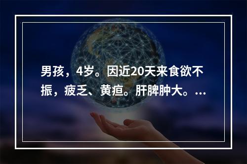 男孩，4岁。因近20天来食欲不振，疲乏、黄疸。肝脾肿大。血清