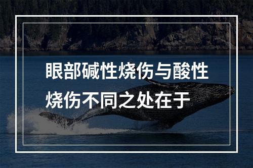 眼部碱性烧伤与酸性烧伤不同之处在于