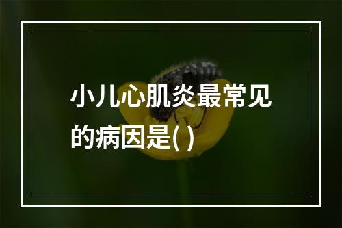 小儿心肌炎最常见的病因是( )