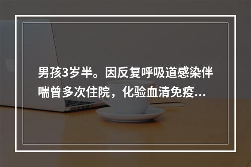 男孩3岁半。因反复呼吸道感染伴喘曾多次住院，化验血清免疫球蛋