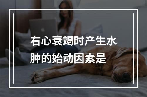 右心衰竭时产生水肿的始动因素是