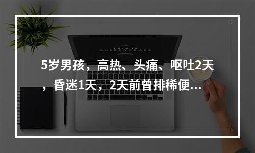 5岁男孩，高热、头痛、呕吐2天，昏迷1天，2天前曾排稀便数次