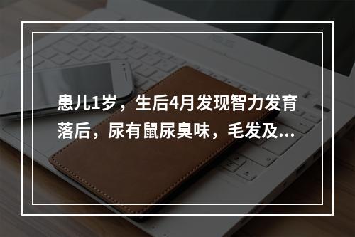 患儿1岁，生后4月发现智力发育落后，尿有鼠尿臭味，毛发及皮肤