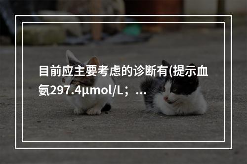 目前应主要考虑的诊断有(提示血氨297.4μmol/L；血细