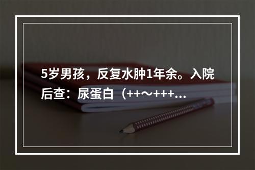 5岁男孩，反复水肿1年余。入院后查：尿蛋白（++～+++），