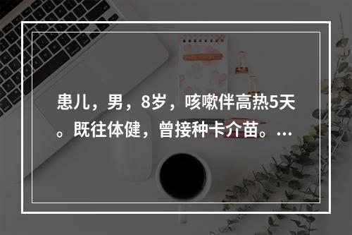 患儿，男，8岁，咳嗽伴高热5天。既往体健，曾接种卡介苗。查体