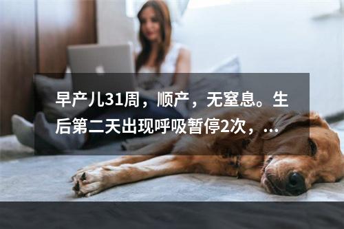 早产儿31周，顺产，无窒息。生后第二天出现呼吸暂停2次，经弹