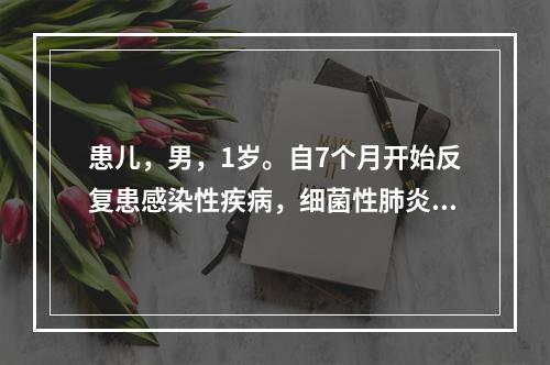 患儿，男，1岁。自7个月开始反复患感染性疾病，细菌性肺炎两次