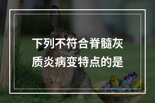 下列不符合脊髓灰质炎病变特点的是