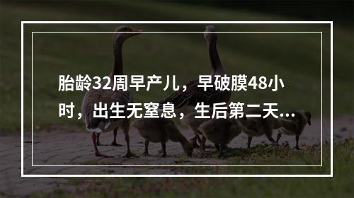 胎龄32周早产儿，早破膜48小时，出生无窒息，生后第二天发现