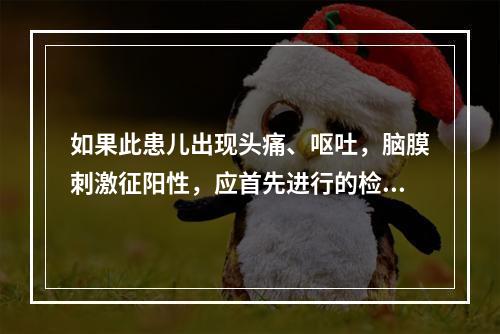 如果此患儿出现头痛、呕吐，脑膜刺激征阳性，应首先进行的检查是