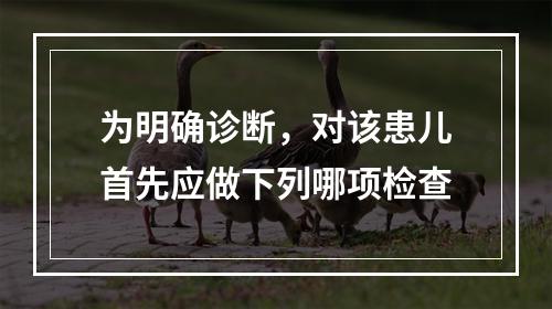 为明确诊断，对该患儿首先应做下列哪项检查