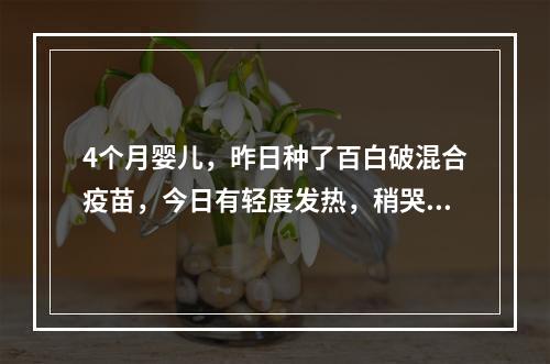 4个月婴儿，昨日种了百白破混合疫苗，今日有轻度发热，稍哭吵不