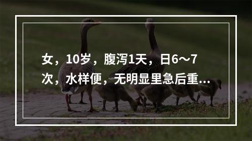 女，10岁，腹泻1天，日6～7次，水样便，无明显里急后重，粪