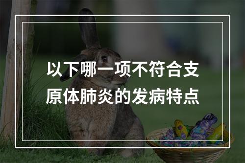 以下哪一项不符合支原体肺炎的发病特点