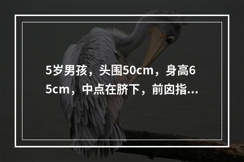 5岁男孩，头围50cm，身高65cm，中点在脐下，前囟指尖大