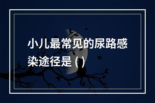 小儿最常见的尿路感染途径是 ( )