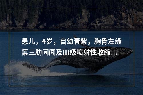 患儿，4岁，自幼青紫，胸骨左缘第三肋间闻及Ⅲ级喷射性收缩期杂