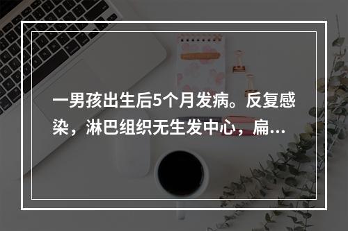 一男孩出生后5个月发病。反复感染，淋巴组织无生发中心，扁桃体