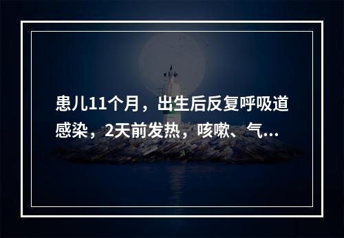 患儿11个月，出生后反复呼吸道感染，2天前发热，咳嗽、气促烦