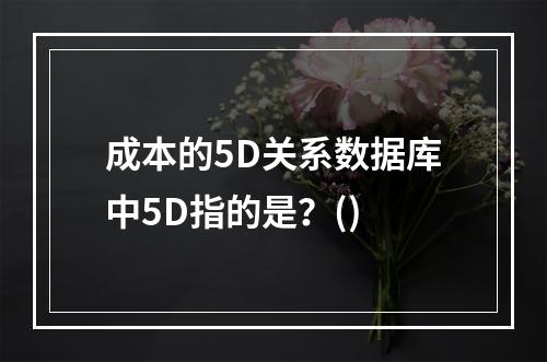 成本的5D关系数据库中5D指的是？()