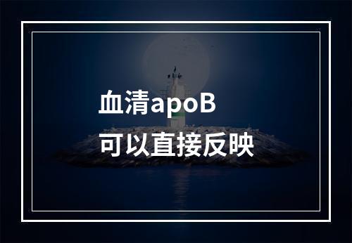 血清apoB可以直接反映