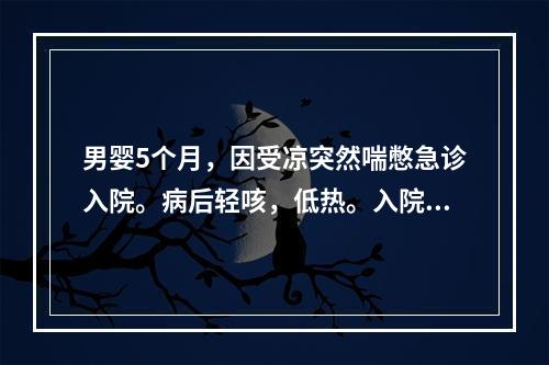 男婴5个月，因受凉突然喘憋急诊入院。病后轻咳，低热。入院查体