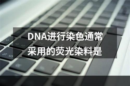 DNA进行染色通常采用的荧光染料是