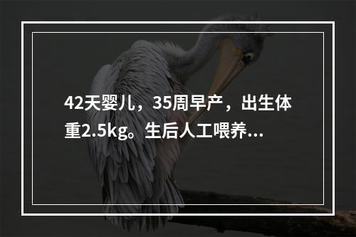 42天婴儿，35周早产，出生体重2.5kg。生后人工喂养，食