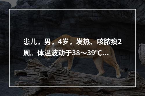 患儿，男，4岁，发热、咳脓痰2周。体温波动于38～39℃。X