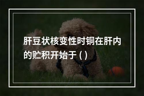 肝豆状核变性时铜在肝内的贮积开始于 ( )